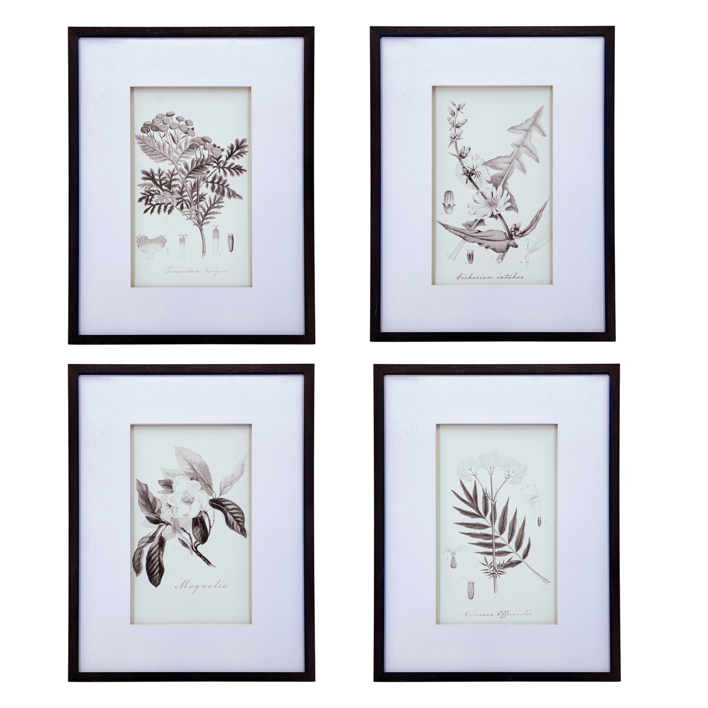 Láminas de arte mural botánico, decoración para sala de estar, comedor, dormitorio y pasillo (juego de 4) - Blanco/Negro