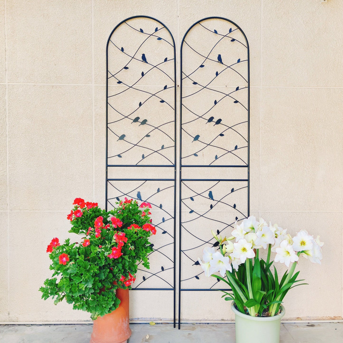 Garden Rustproof Trellis For Climbing Plants