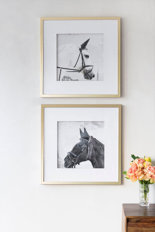 Arte de pared con estampado de caballo, decoración de pared (juego de 2) - Dorado/Blanco