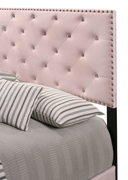 Suffolk - Cama