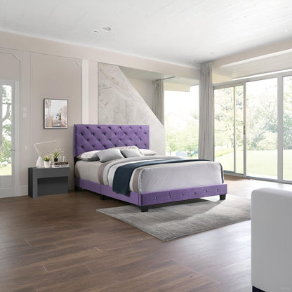 Suffolk - Cama
