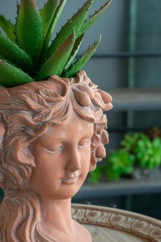 Maceta con forma de busto de cemento, estilo griego, de 20 x 23 x 29 cm, para decoración de interiores y exteriores, color marrón