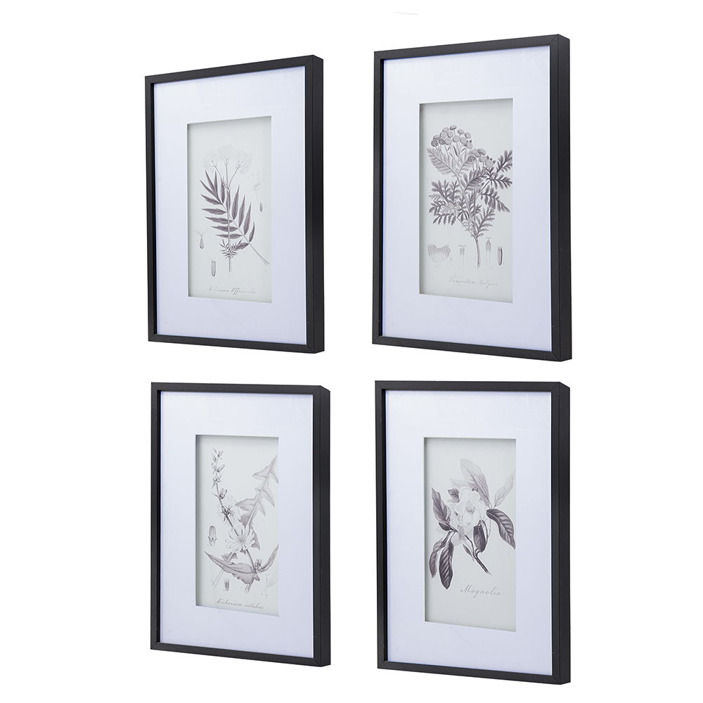 Láminas de arte mural botánico, decoración para sala de estar, comedor, dormitorio y pasillo (juego de 4) - Blanco/Negro