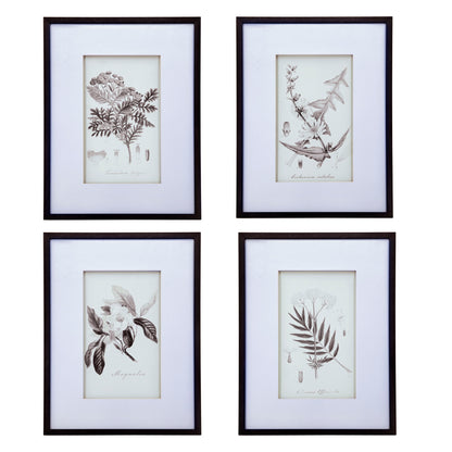 Láminas de arte mural botánico, decoración para sala de estar, comedor, dormitorio y pasillo (juego de 4) - Blanco/Negro