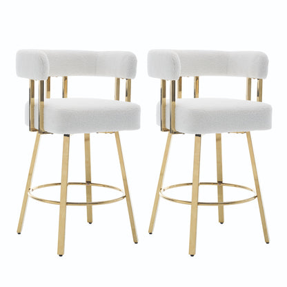 Decorative Upholstered Side Chair For Living Room (Set of 2)